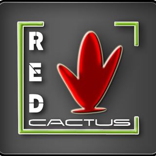 Red cactus